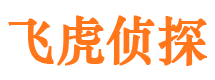 静宁婚外情调查取证